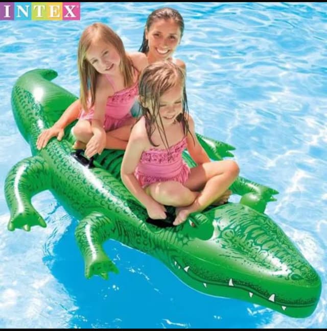 Floating crocodile